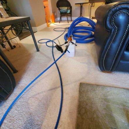 Area Rug Cleaning Service Maple Ridge BC Canada