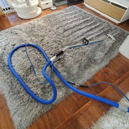 Area Rug Steam Cleaning Burnaby BC Canada