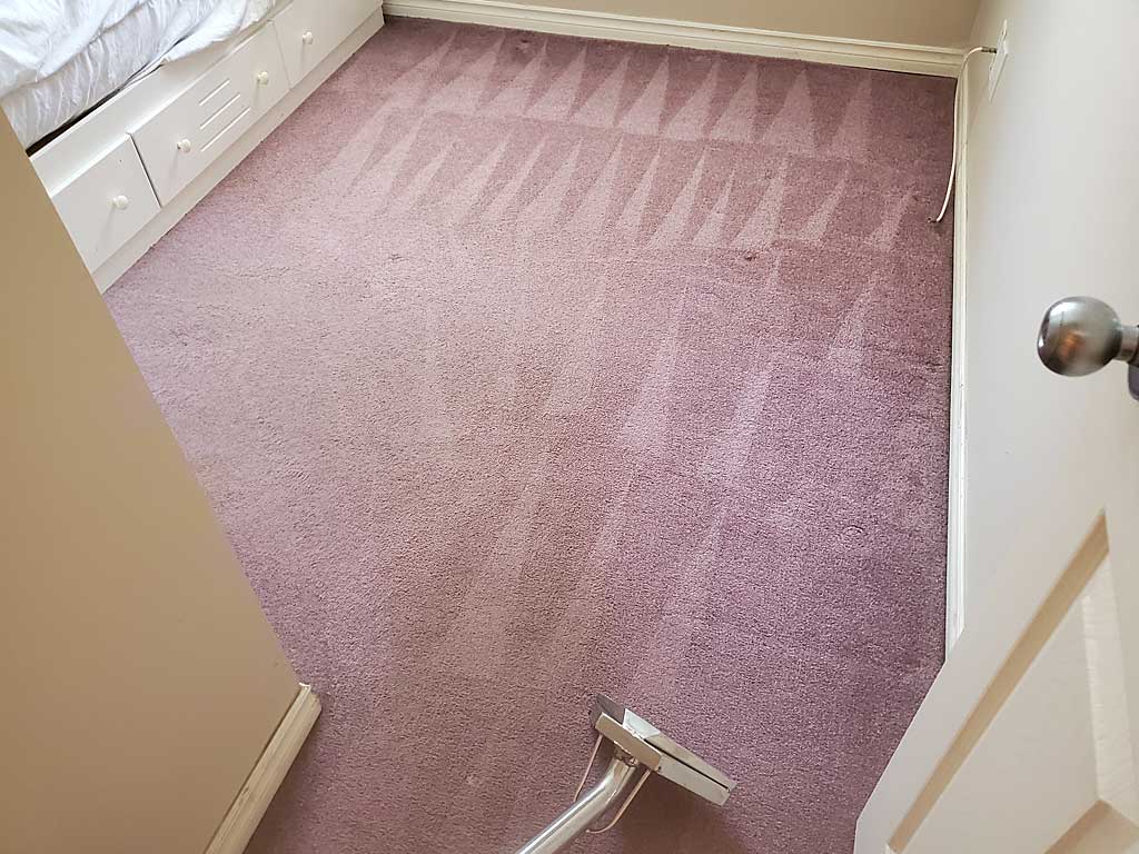 Basement Suite Carpet Cleaning Coquitlam BC Canada