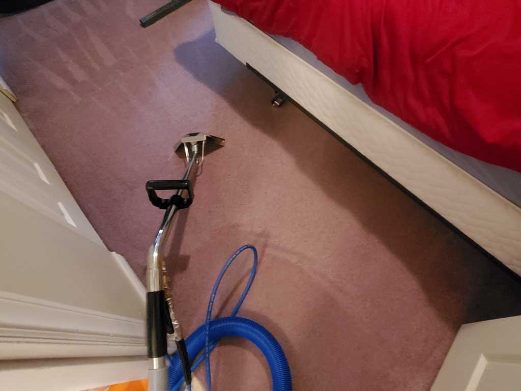 Basement Suite Carpet Cleaning Coquitlam BC Canada