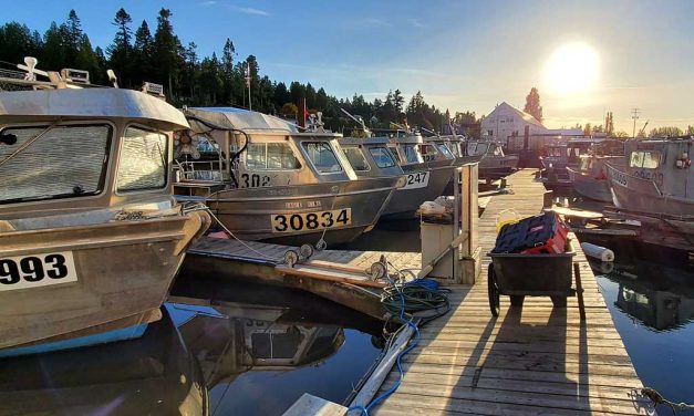 Black Mold Removal From the Interior of a Boat Located in White Rock BC Canada