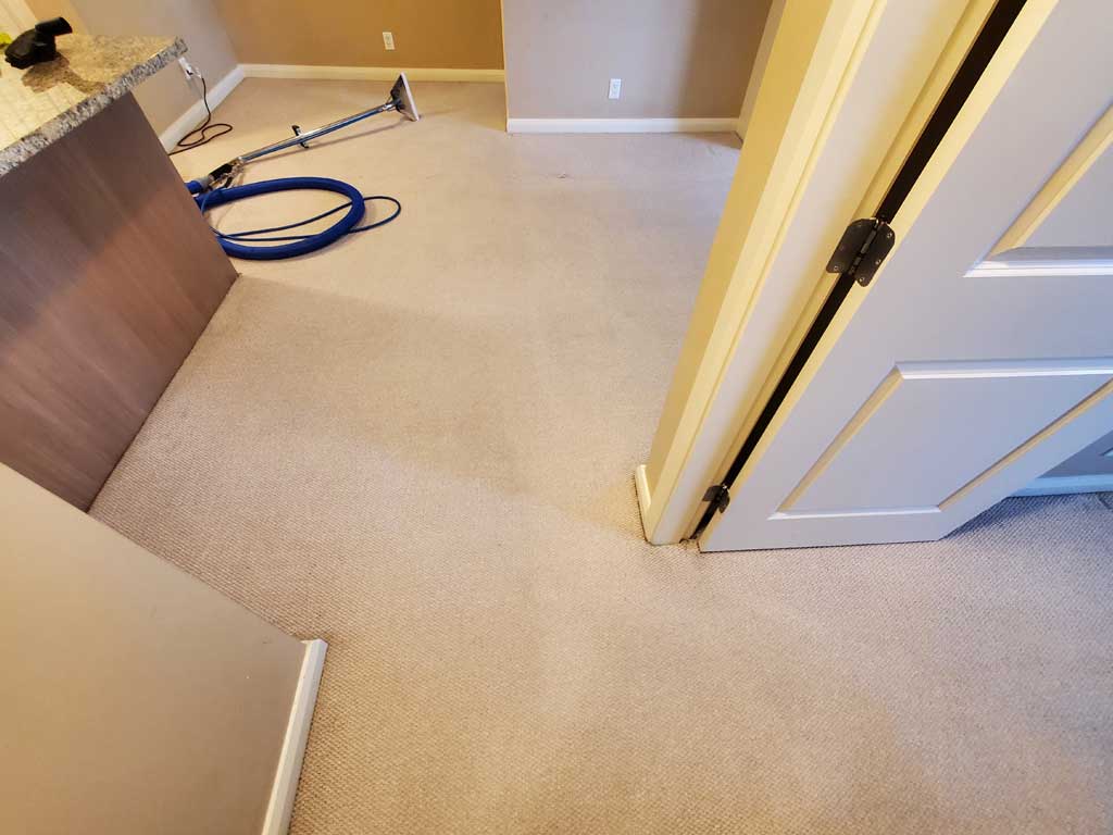 Move-out Carpet Cleaning House Richmond BC Canada