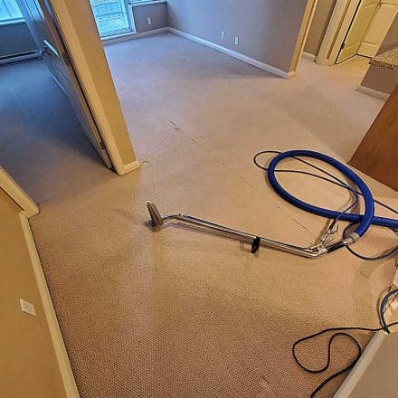 Carpet Cleaning a Bedroom and Living Room in a Condo Located in New Westminster BC Canada
