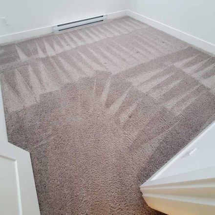 Carpet Cleaning a Townhouse Located in Langley BC Canada