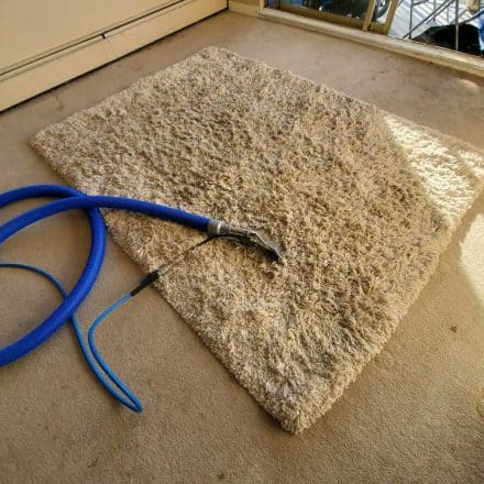 Carpet Cleaning Area Rug Cleaning in a Condo Located in Burnaby BC Canada
