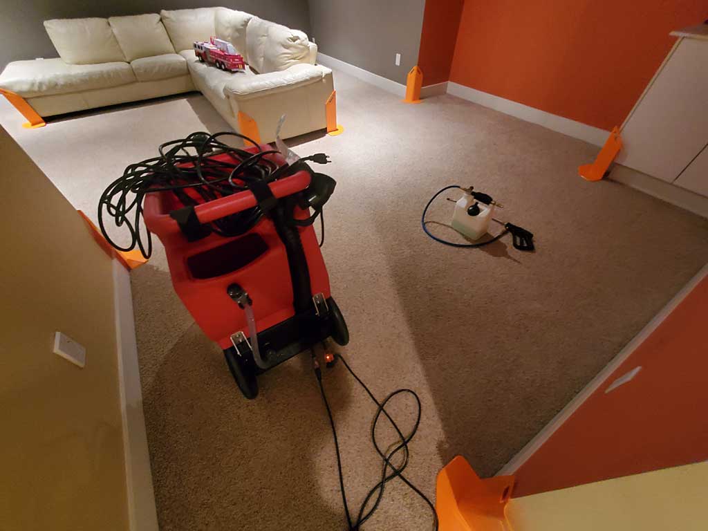 Carpet Cleaning Entertainment Room Basement of a House Surrey BC Canada