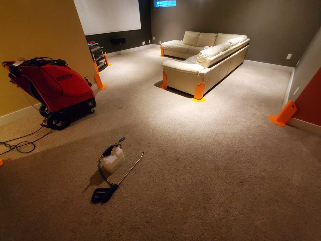 Carpet Cleaning Entertainment Room Basement of a House Surrey BC Canada