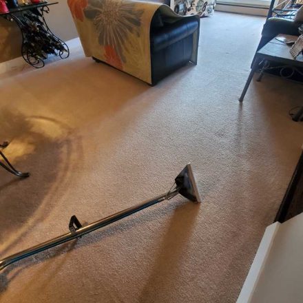 Carpet Cleaning Services in a Condo Located in Maple Ridge BC Canada