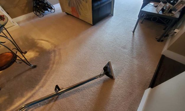 Carpet Cleaning Services in a Condo Located in Maple Ridge BC Canada