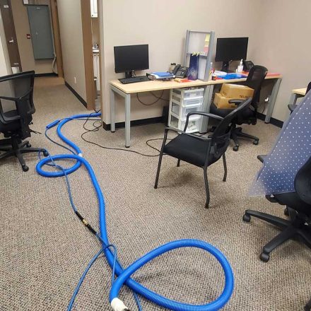 Commercial Carpet Cleaning Insurance Office Port Coquitlam Canada