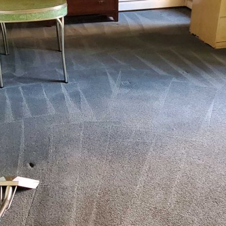 Carpet Cleaning a Condo in Vancouver BC Canada