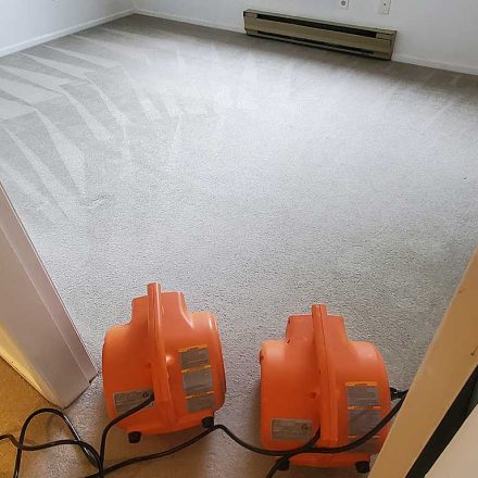 Condo Carpet Cleaning Rental Move-out Vancouver BC Canada