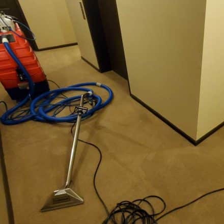 High-Rise Multi-Family Strata Common Area Hallway Carpet Cleaning in Vancouver BC Canada