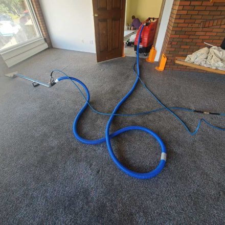 House Carpet Cleaning After Renters Left Surrey BC Canada