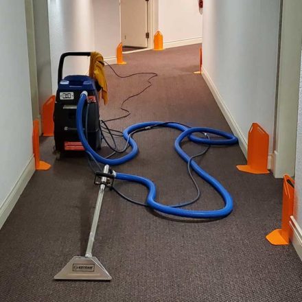 Strata Common Area Carpet Cleaning of a Low-Rise Condo Complex in Langley BC Canada