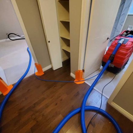 Move-in Carpet Cleaning Upstairs of House and Carpet Cleaning of Basement Located in Coquitlam BC Canada