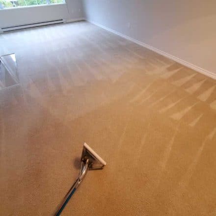 Open-house Carpet Cleaning a Condo One Bedroom Port Moody BC Canada