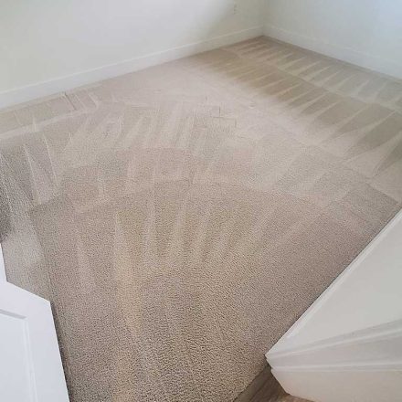 Open-house Carpet Cleaning Move-in Cleaning of a Condo Located in Langley BC Canada