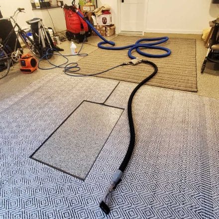 Pet Urine and Feces Removal From Two Area Rugs Located in Port Moody BC Canada