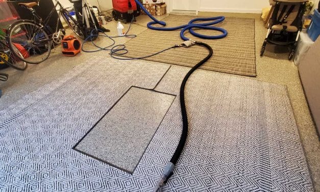 Pet Urine and Feces Removal From Two Area Rugs Located in Port Moody BC Canada