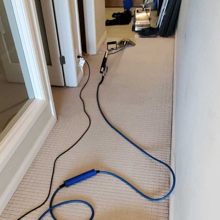 Residential Condo Carpet Cleaning New Westminster BC Canada