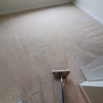 SFU Carpet Cleaning Condo Cleaning Open-House Burnaby BC Canada