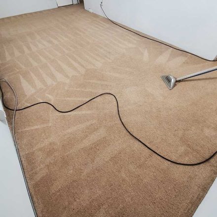 Steam Cleaning Carpets Basement Suite House Coquitlam BC Canada