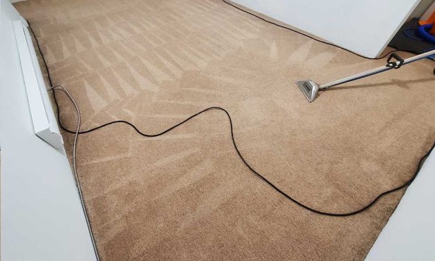 Steam Cleaning Carpets Basement Suite House Coquitlam BC Canada