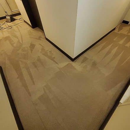 Strata Carpet Cleaning High-Rise in Vancouver BC Canada