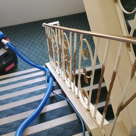 Strata Common Area Stairs Carpet Cleaning in Coquitlam BC Canada