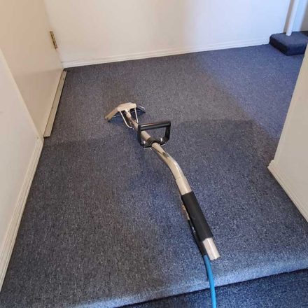 Strata Stairs Feces and Urine Treatment Carpet Cleaning Stairs in Coquitlam BC Canada