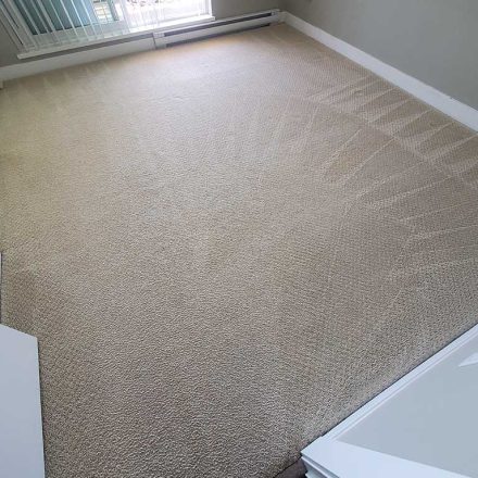 Urine Removal Carpet Cleaning Condo Bedroom Move in Cleaning Burnaby BC Canada