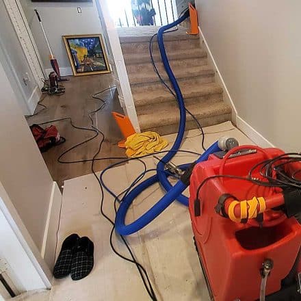 Urine Removal From Stairs in a House Located in Maple Ridge BC Canada