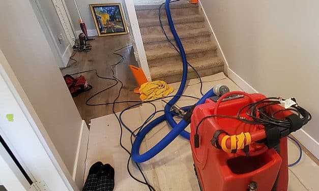 Urine Removal From Stairs in a House Located in Maple Ridge BC Canada