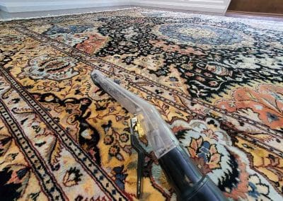 Two Luxury Area Rugs Steam Cleaning Located in Delta BC Canada